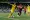 FC Dallas vs Nashville SC: Preview, game notes and how to watch
