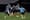 FC Dallas Preseason Camp: Who is here, who is missing