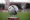FC Dallas Announces 2023 Preseason Schedule
