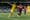 FC Dallas stumbles out of US Open Cup with 2-0 loss to Nashville SC