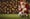 Christmas wishlist for FC Dallas