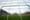 Grading 2023: How FC Dallas’ roster moves panned out