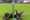 North Texas SC vs Philadelphia Union II: Preview, game notes, and how to watch