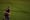FC Dallas comes from behind to down Sporting Kansas City 4-2