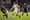 FC Dallas falls to New York City FC 4-3