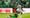 Diving into some final stats from FC Dallas' draw in Austin