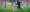 FC Dallas vs Vancouver Whitecaps: Highlights, stats and quote sheet